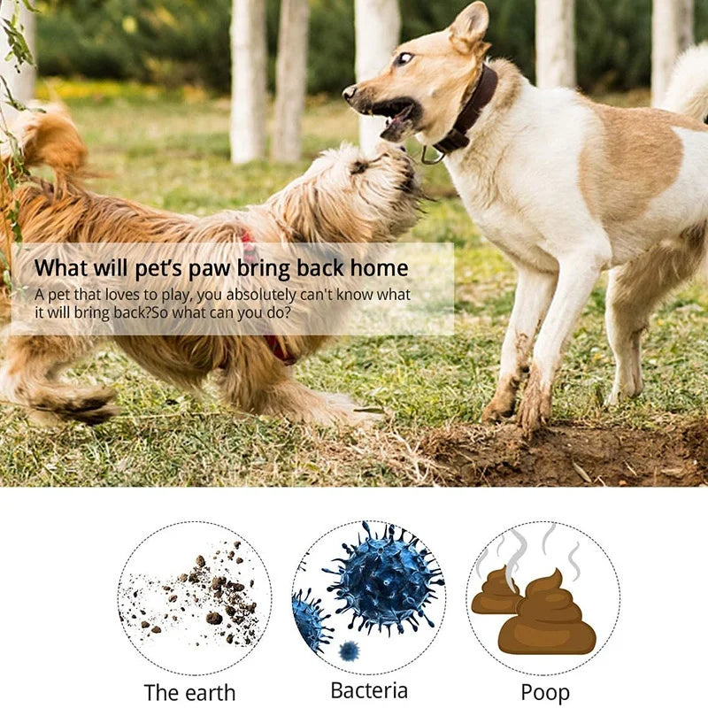 PataClean: A Solução Revolucionária para Manter as Patas do seu Cão Limpas e Saudáveis